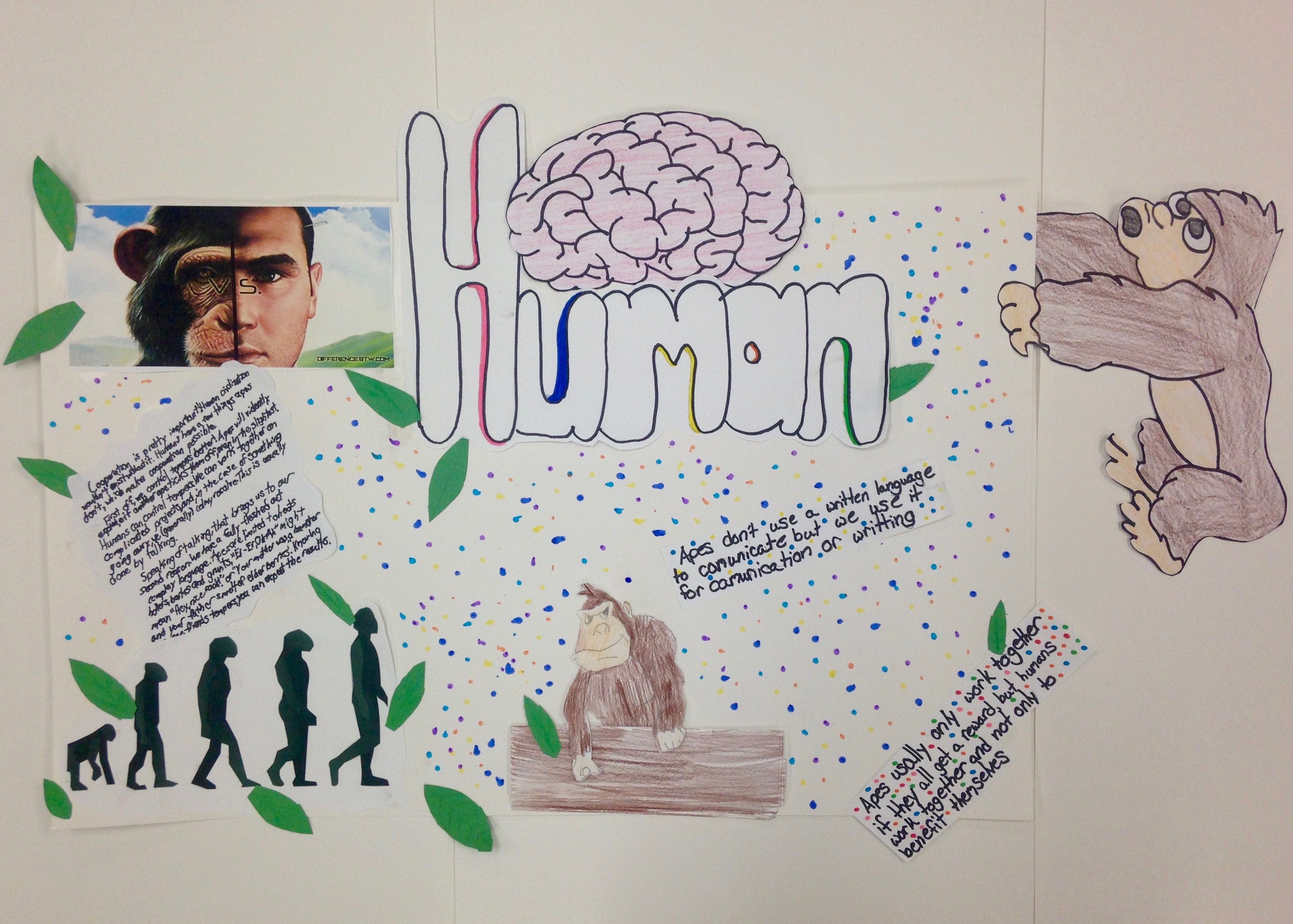 Human Poster 2016-17 